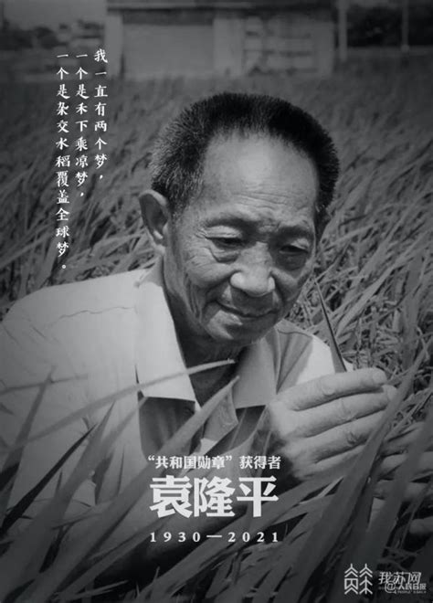 袁隆平（1930～ ）-智汇三农