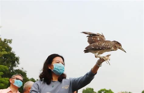 百名读者放生广州地区国家濒危野生动物-新闻中心-南海网