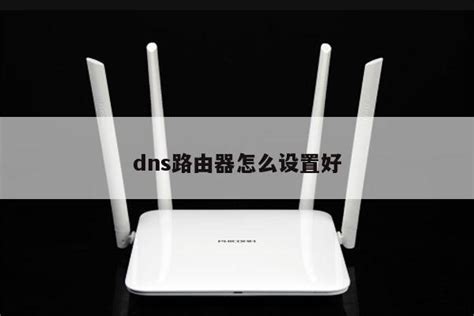 TPLINK无线路由器的DNS设置图解-无线路由器设置