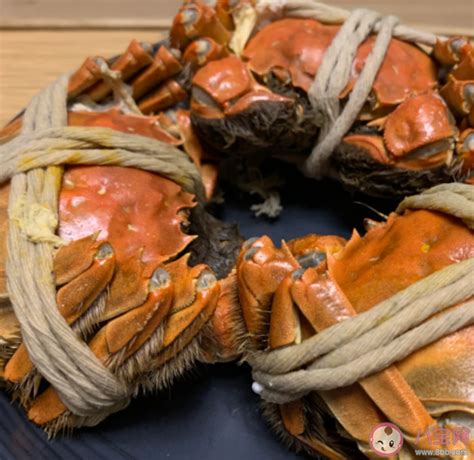 螃蟹蒸熟了放冰箱冷冻后能吃吗 保存好的熟螃蟹食用要注意什么 _八宝网
