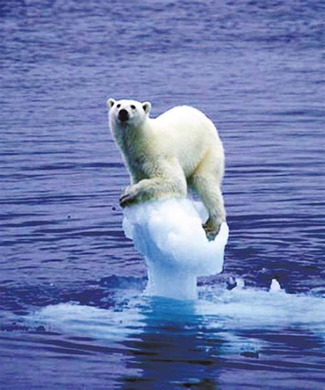 全球气候变暖引发极端天气 低碳经济是人类自救_资讯_凤凰网