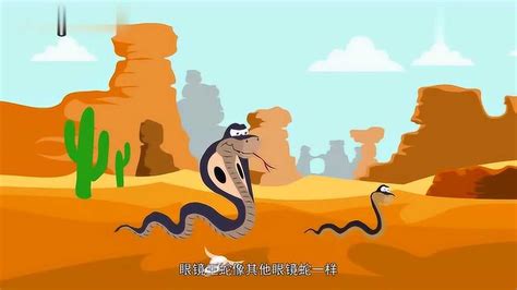 眼镜王蛇是如何捕猎的？