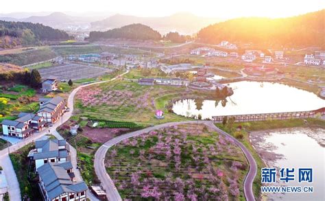 西充县第十一届桃花季开幕 “1+10”全域观景模式呈现西充多彩春天-新华网