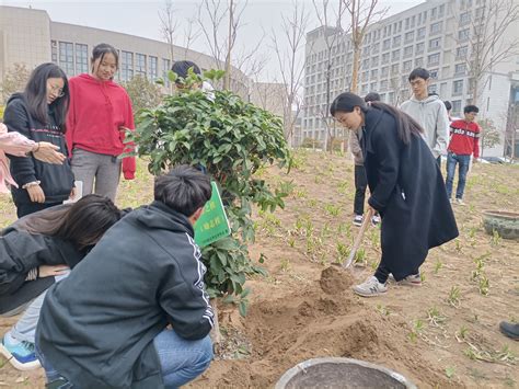 种一棵树 “埋”一个心愿 荣邦城小学”植树节活动多多-大河新闻
