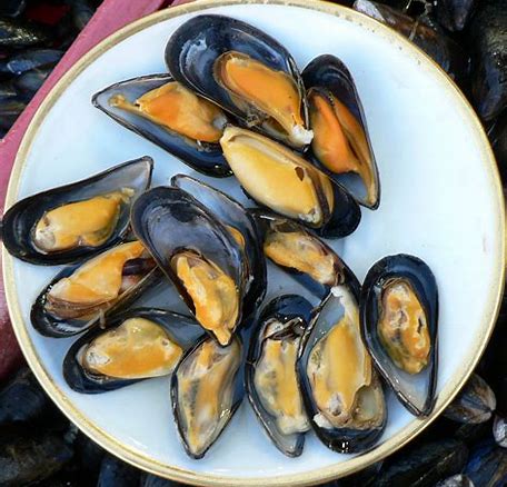 Image result for mussels