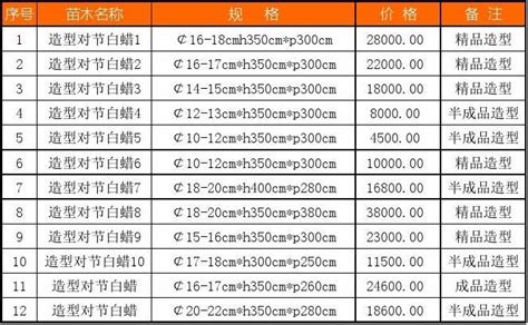 现在白蜡树价格是多少