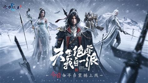 手游雪鹰领主套装,雪鹰领主手游好玩吗