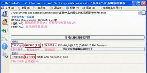 cgm文件怎么放入WORD(200分)