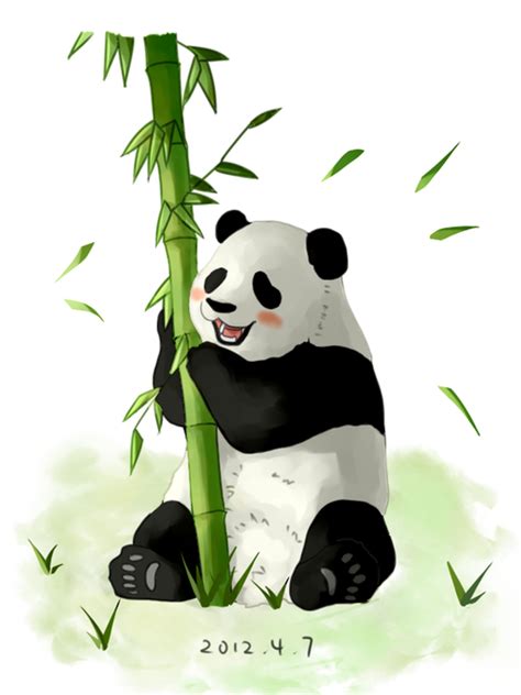 熊猫动画片02年