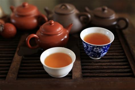 普洱生茶熟茶专哪个好,生茶和熟茶哪个好喝