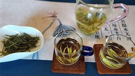 为什么安吉白茶也是绿茶,安吉白茶难道不是白茶吗
