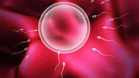 输卵管妊娠的临床表现有哪些