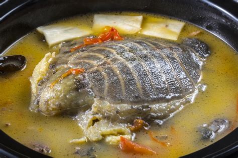 松茸甲鱼汤的做法 野生松茸甲鱼汤