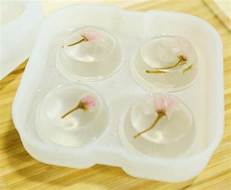 
鹽漬櫻花蛋糕卷的做法,鹽漬櫻花蛋糕怎么做