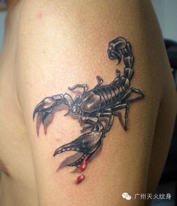 女人纹身蝎子的含义,中国人纹身有哪些忌讳和讲究