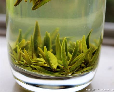 小青柑茶是什么茶,青茶是什么茶