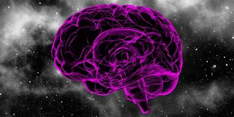人脑为什么会思考,是怎么发现大脑会思考的