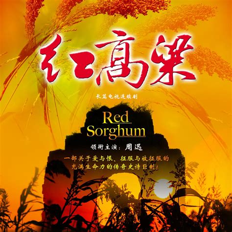 类似老司机带带我这样的云南民歌为什么会流行,云南真的盛产这样的