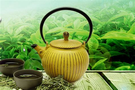 扬州绿杨春茶怎么样,绿杨春茶叶有哪些挑战