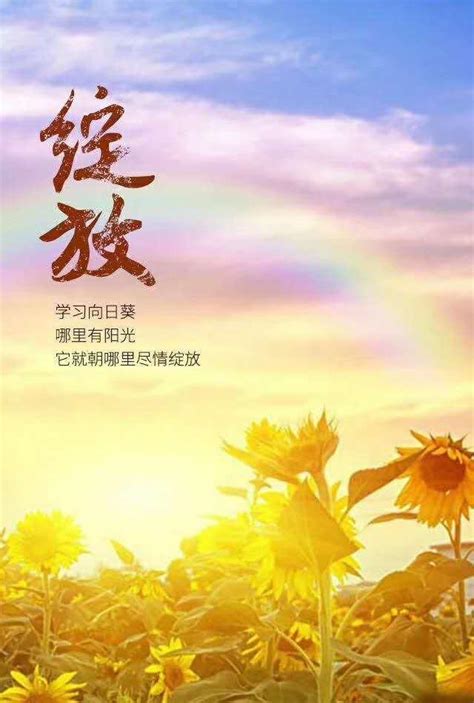 早安励志的生活语录句子