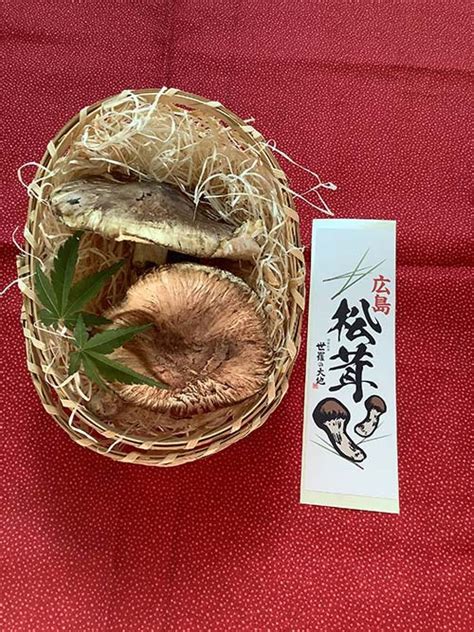松茸包装日本,中国松茸在日本涨价