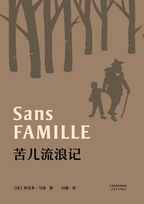 坚强的心-读《苦儿流浪记》有感500字（优秀6则）