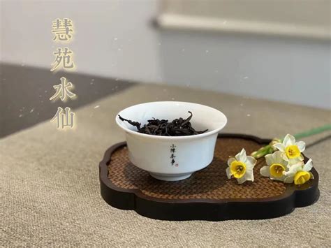 为什么现在都喝岩茶,更适合喝岩茶哟