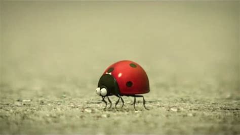 动画片蚂蚁和蚂蚱大战