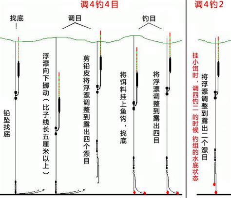 钓梭子鱼正确方法