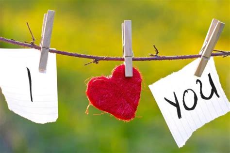 十二代表的爱情含义