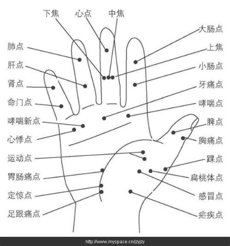 我的左手右手小左和妹妹小右相认