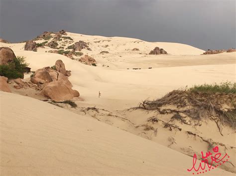 沙湖_暑假游玩作文400字[精选4篇]