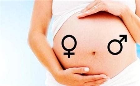 胎心率 性别