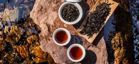 茶圈都在喝什么口粮茶,最好的岩茶品种是什么