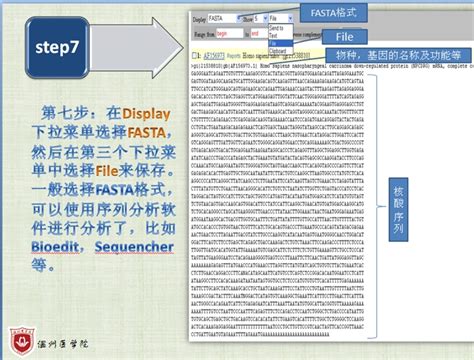 不用解锁的定位软件 无需授权定位