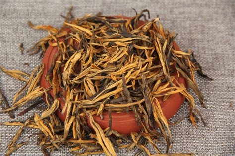 云南哪个季节的滇红茶好,哪个季节采制的滇红品质高