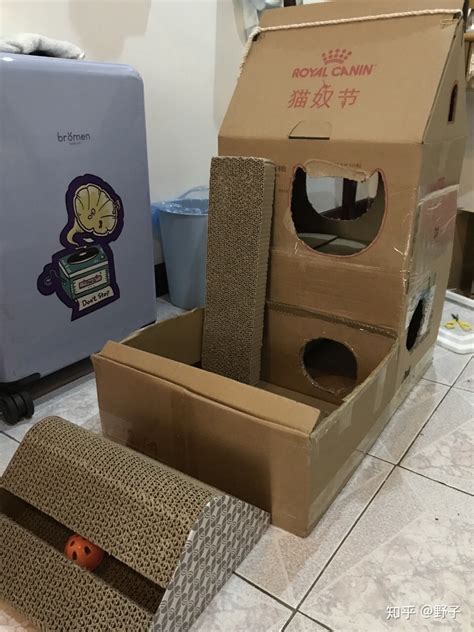 为什么猫喜欢纸箱,猫咪为什么会喜欢纸箱