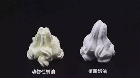 動物性奶油和植物性奶油哪個對身體好?