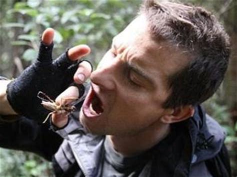 我所欣赏的探险家——贝尔’格里尔斯_写人作文600字[通用5篇]