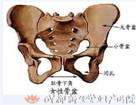 孕期遭遇的各种痛有哪些