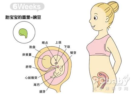 怀孕40周加3天没生