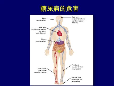 注射mtx并发症