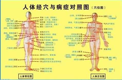 催大姨妈神奇穴位