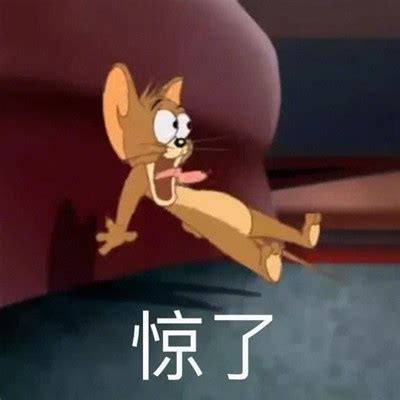 微信沙雕斗图必备gif
