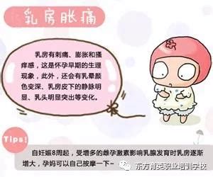 怀孕有什么症状早期