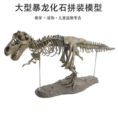 恐龙奇遇记来广州啦,拼恐龙骨头游戏在哪里