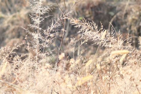 因为你，我的青春与世界温暖相拥-记叙文700字（摘抄6则）