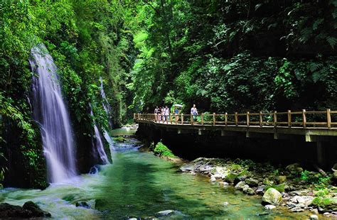 重庆旅游黑山谷