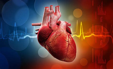 人工心脏为什么要跳动,心脏跳动所需的能量来自哪里
