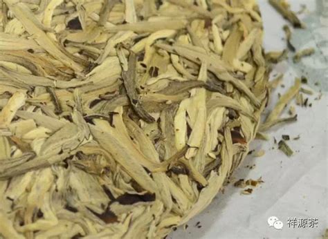 云南白茶属什么茶种,白茶属什么类型茶